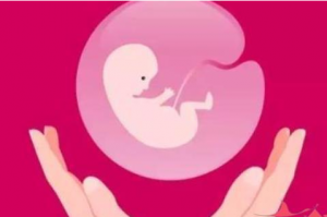 专业安心！ 供卵试管费用“有意思”