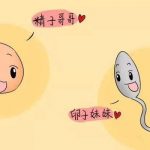 湖南三代试管男婴价格标准出炉,三代试管男婴价格 湖南三代试管男婴价格标准出炉,三代试管男婴价格