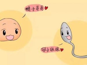 湖南三代试管男婴价格标准出炉，三代试管男婴价格