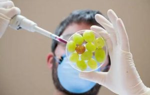 准备怀孕的女性！ 三代试管胚胎筛选需要多长时间？