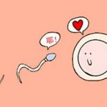 【试管】下调/促排通常见问题整理