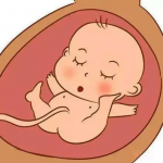 【湖北省供卵三代试管名册】最新捐卵三代试管费用参考标准