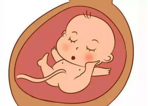 【湖北省供卵三代试管名册】最新捐卵三代试管费用参考标准