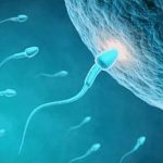 上海三代试管婴儿医院成功率排名是多少？