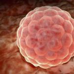 子宫问题不孕可以做试管 子宫问题不孕可以做试管