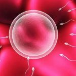 助你好孕——泰安市中心医院生殖遗传科 助你好孕——泰安市中心医院生殖遗传科