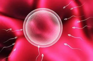 助你好孕——泰安市中心医院生殖遗传科