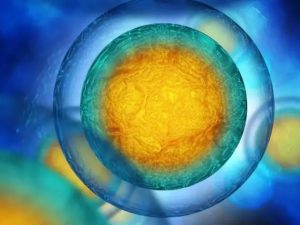 21号染色体异常遗传病能做三代试管婴儿吗？