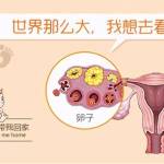 三代试管婴儿费用多少-三代试管婴儿费用明细表