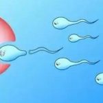 武汉造一个三代试管男男要多少钱？ 生子费用明细！