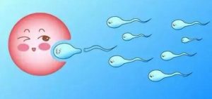 武汉造一个三代试管男男要多少钱？ 生子费用明细！