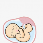 子宫问题试管婴儿成功率高吗?  4月时代生殖问答会问专家! 子宫问题试管婴儿成功率高吗?  4月时代生殖问答会问专家!