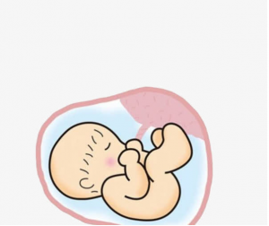 子宫问题试管婴儿成功率高吗？  4月时代生殖问答会问专家！