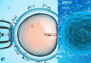 试管下调后卵泡不均匀的原因：基底卵泡少怎么办