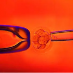 高龄做试管如何选择医院？ 如何保证高级试管婴儿的成功率？