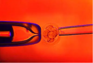 高龄做试管如何选择医院？ 如何保证高级试管婴儿的成功率？