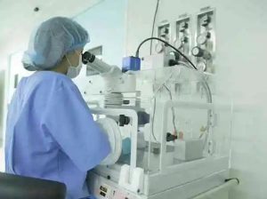 11号染色体p11.12重复有3大原因，大部分与遗传有关