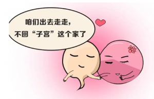 重庆市中医院生殖医学中心持续献…