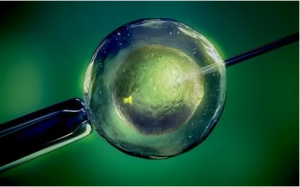 科普｜第三代试管婴儿是高龄女性生育的最佳选择！