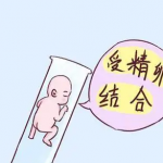 宜昌试管费用多少 宜昌试管费用多少