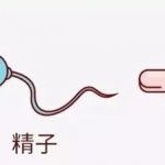 高龄女性做三代试管多少卵子合适？