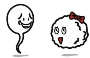 高龄产妇做借三代卵自孕需要多少钱？高级试管婴儿费用清单