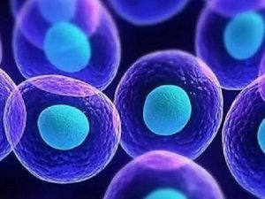 【仁济试管-生育秘诀】冷冻胚胎和新鲜胚胎一样好做试管婴儿