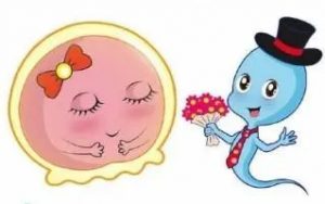 海口三代试管会不会有染色体异常？