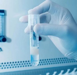 国内正规医院卵子库供卵试管费用是多少？ 国内试管婴儿冷冻卵子多少钱？