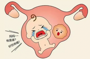 北京东方医院生殖科供卵三代试管要多少钱？