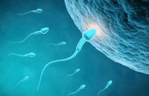 三代试管移植一个胚胎好还是两个胚胎好？