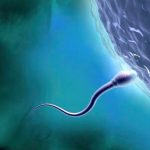 北京借卵试管费用是多少,北京借卵试管医院费用是多少?附上费用明细 北京借卵试管费用是多少,北京借卵试管医院费用是多少?附上费用明细