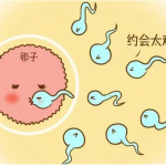 俄罗斯试管婴儿帮助高龄丧亲家庭走出丧亲之痛 俄罗斯试管婴儿帮助高龄丧亲家庭走出丧亲之痛
