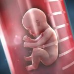 详解俄罗斯供卵试管费用！附俄罗斯供卵试管生活费