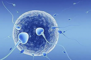 探讨第四代试管婴儿技术的原理、挑战和前景，并存在伦理问题