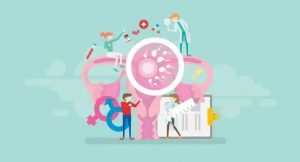 西安第三代试管?捐卵公司