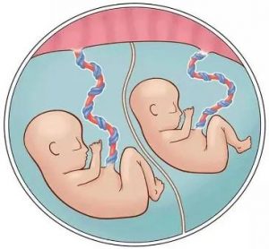 捐卵助孕_哪家医院可以捐卵_上海佳爱遗传与不孕不育门诊中心试管可以选择性别吗？