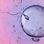 青岛供卵三代试管多少钱,山东供卵试管费用明细