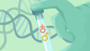 北京哪家医院做三代试管婴儿比较便宜？