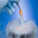 长沙三代试管婴儿捐卵费用高吗? 附上第三代试管费用明细! 长沙三代试管婴儿捐卵费用高吗? 附上第三代试管费用明细!