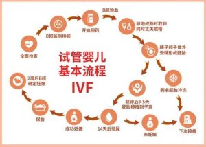 武汉三代试管长沙试管长沙能子公司2023长沙冷冻卵子医院排行榜长沙冷冻卵子医院