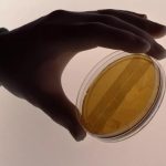 一支试管的成功率是多少？ 试管成功率高吗？