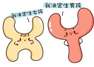 三代试管能做白化病吗？ 三代试管婴儿能否避免遗传性白化病？