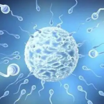 三代试管受孕的总费用是多少