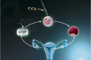 高龄试管婴儿成功率-高龄试管婴儿成功案例