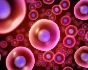 浙江能做蛋包男三代试管婴儿的医院排名是多少？ 带试管费？