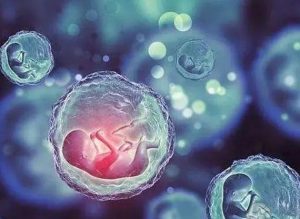 更新百色官方捐卵医院排名2023！附属医院供卵试管成功率预估