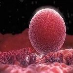 长沙民营生殖医院供卵试管费用是多少？