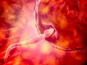 美国试管婴儿囊胚冷冻技术——时间过长会影响质量吗？