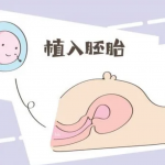 染色体问题供卵 结婚6年无子,却发现老公不是男人! 是作弊还是别的? 染色体问题供卵 结婚6年无子,却发现老公不是男人! 是作弊还是别的?